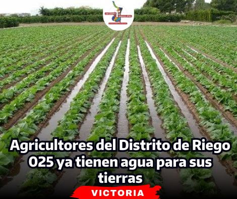 portada-notas-2-8.png