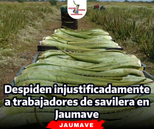 portada Notas 2  (47)