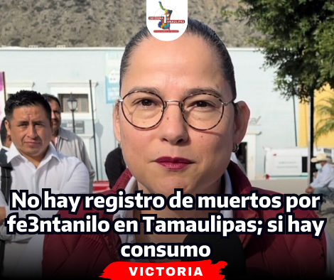 portada Notas 2  (55)