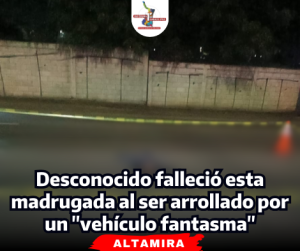 portada Notas 2  (91)