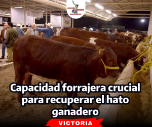 portada Notas 2  (93)