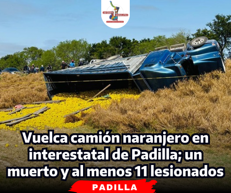portada-notas-2-5-1.png