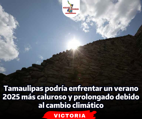 portada Notas 2  - 2025-03-14T093846.990