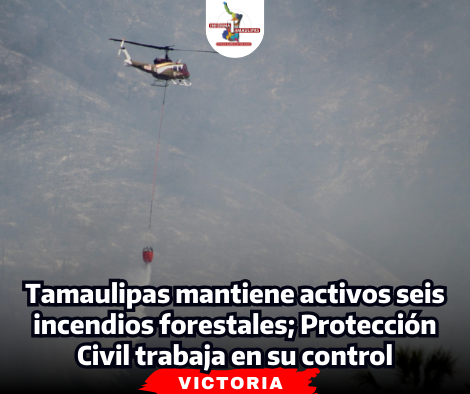 portada Notas 2  - 2025-03-19T135727.996