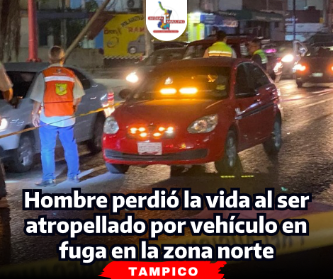 portada-notas-2-4.png