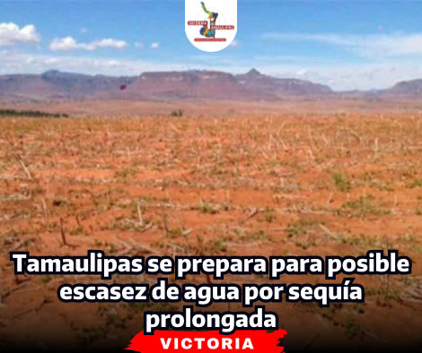 portada-notas-2-4.png
