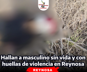 portada-notas-2-4.png