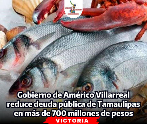 portada-notas-2-5-1.png