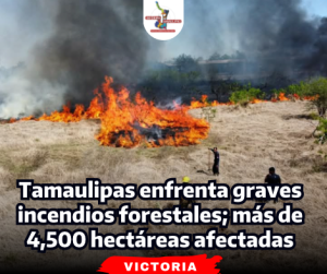 portada-notas-2-6-1.png