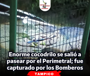 portada-notas-2-4.png