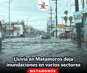 portada-notas-2-4.png