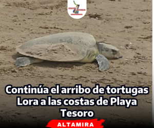 portada-notas-2-4.png