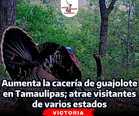 portada-notas-2-4.png