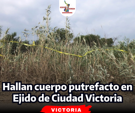 portada-notas-2-5-1.png