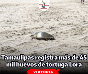 portada-notas-2-5-1.png