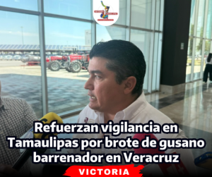 portada-notas-2-4.png