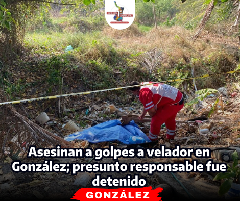portada-notas-2-4.png