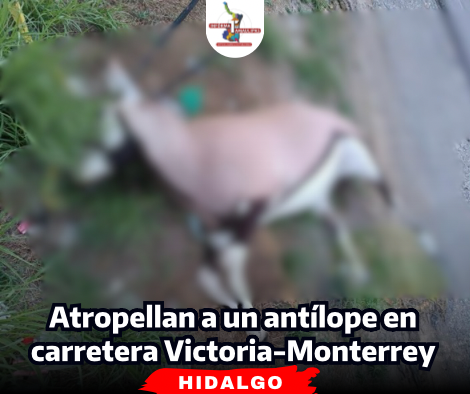 portada-notas-2-4.png