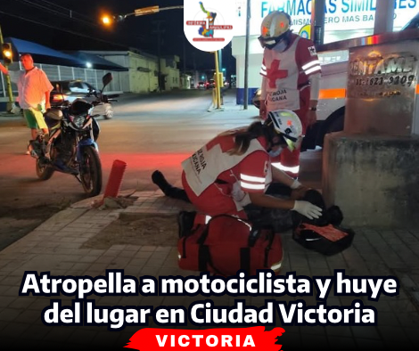 portada-notas-2-5-1.png
