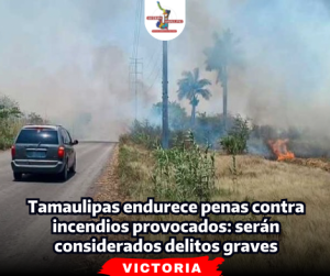 portada-notas-2-5-1.png