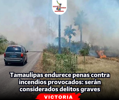 portada-notas-2-5-1.png
