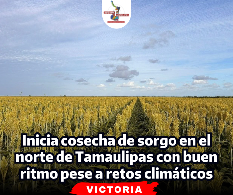 portada-notas-2-5-1.png