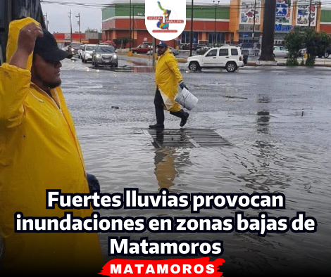 portada-notas-2-5-1.png