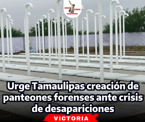 portada-notas-2-6-2.png