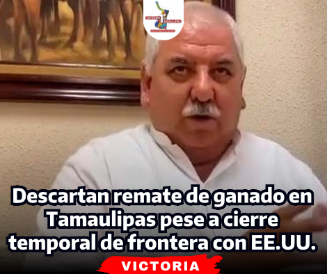 portada-notas-2-6-2.png