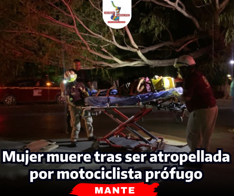 portada-notas-2-7-1.png