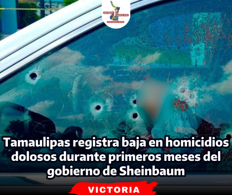 portada-notas-2-8-1.png