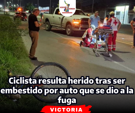 portada-notas-2-8-1.png