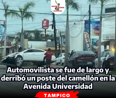 portada-notas-2-9-1.png