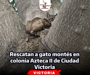 portada-notas-2-4.png