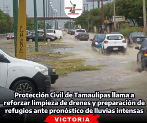 portada-notas-2-4.png
