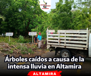 portada-notas-2-4.png