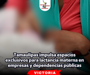 portada-notas-2-5-1.png