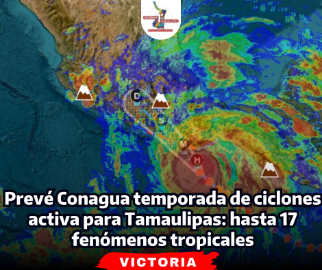 portada-notas-2-6-2.png