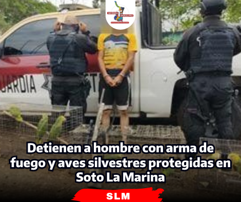 portada-notas-2-8.png