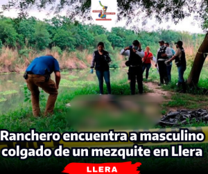 portada-notas-2-4.png