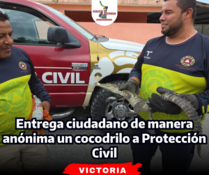 portada-notas-2-4.png