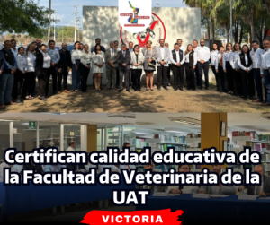portada-notas-2-4.png