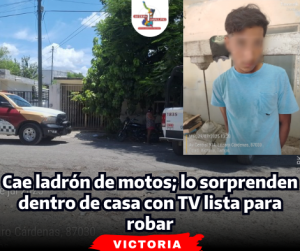 portada-notas-2-5.png