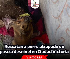 portada-notas-2-6-2.png