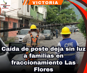 Copia de portada Notas 2 (17)