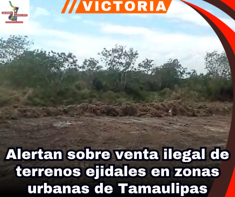 copia-de-portada-notas-2-1.png