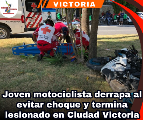 copia-de-portada-notas-2-1.png