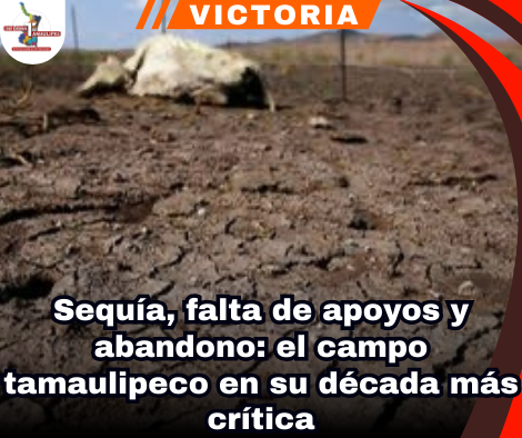copia-de-portada-notas-2-.png