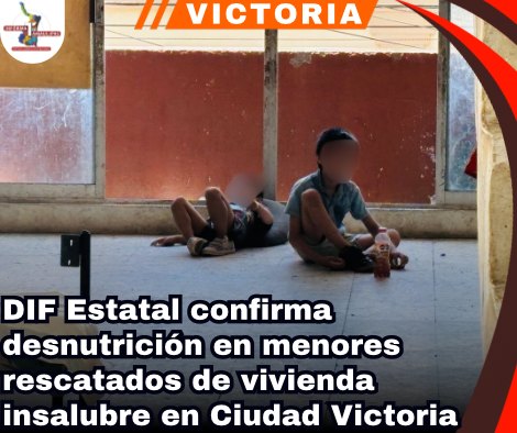 copia-de-portada-notas-2-1.png