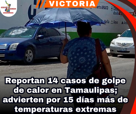 copia-de-portada-notas-2-1.png